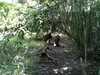 JacksonvilleZoo_0446-thumbnail.jpg