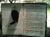 JacksonvilleZoo_0447-thumbnail.jpg