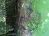 JacksonvilleZoo_0448-thumbnail.jpg