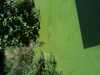 JacksonvilleZoo_0449-thumbnail.jpg
