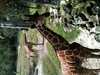 JacksonvilleZoo_0450-thumbnail.jpg