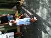 JacksonvilleZoo_0451-thumbnail.jpg