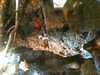 JacksonvilleZoo_0464-thumbnail.jpg