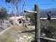 SBZoo2012-04-California_condors-2-thumbnail.jpg
