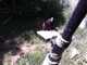SBZoo2012-06-California_condors-4-thumbnail.jpg