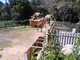 SBZoo2012-11-giraffes-4-thumbnail.jpg