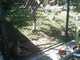 OCZoo2012-03-mountain_lion_3-thumbnail.jpg