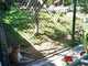 OCZoo2012-04-mountain_lion_4-thumbnail.jpg