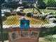 OCZoo2012-06-mountain_lion_6-thumbnail.jpg