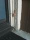 doorway_mantis-1-thumbnail.jpg