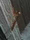 doorway_mantis-5-thumbnail.jpg