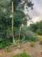 Niguel_Botanical_Preserve_0516-006-thumbnail.jpg