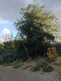 Niguel_Botanical_Preserve_0516-009-thumbnail.jpg