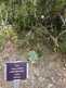 Niguel_Botanical_Preserve_0516-013-thumbnail.jpg