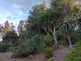 Niguel_Botanical_Preserve_0516-016-thumbnail.jpg
