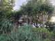 Niguel_Botanical_Preserve_0516-017-thumbnail.jpg