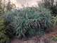 Niguel_Botanical_Preserve_0516-022-thumbnail.jpg