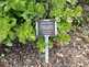 Niguel_Botanical_Preserve_0516-023-thumbnail.jpg