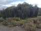 Niguel_Botanical_Preserve_0516-028-thumbnail.jpg