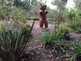 Niguel_Botanical_Preserve_0516-036-thumbnail.jpg
