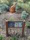 Niguel_Botanical_Preserve_0516-038-thumbnail.jpg