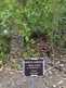 Niguel_Botanical_Preserve_0516-040-thumbnail.jpg