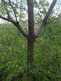 Niguel_Botanical_Preserve_0516-041-thumbnail.jpg