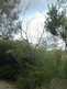 Niguel_Botanical_Preserve_0516-042-thumbnail.jpg