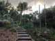 Niguel_Botanical_Preserve_0516-047-thumbnail.jpg
