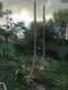 Niguel_Botanical_Preserve_0516-048-thumbnail.jpg