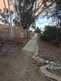 Niguel_Botanical_Preserve_0516-059-thumbnail.jpg