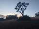 Niguel_Botanical_Preserve_0516-062-thumbnail.jpg