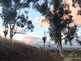 Niguel_Botanical_Preserve_0516-063-thumbnail.jpg
