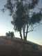 Niguel_Botanical_Preserve_0516-065-thumbnail.jpg
