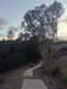 Niguel_Botanical_Preserve_0516-074-thumbnail.jpg