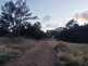 Niguel_Botanical_Preserve_0516-076-thumbnail.jpg