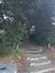 Niguel_Botanical_Preserve_0516-085-thumbnail.jpg