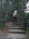 Niguel_Botanical_Preserve_0516-086-thumbnail.jpg