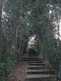 Niguel_Botanical_Preserve_0516-087-thumbnail.jpg