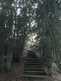 Niguel_Botanical_Preserve_0516-088-thumbnail.jpg