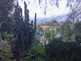 Niguel_Botanical_Preserve_0516-096-thumbnail.jpg