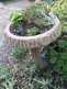 Niguel_Botanical_Preserve_0516-098-thumbnail.jpg