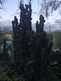 Niguel_Botanical_Preserve_0516-099-thumbnail.jpg