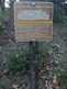 Niguel_Botanical_Preserve_0516-110-thumbnail.jpg