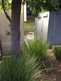 Niguel_Botanical_Preserve_0516-112-thumbnail.jpg
