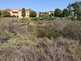 NW_Open_Space_0516-01-thumbnail.jpg