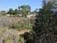 NW_Open_Space_0516-03-thumbnail.jpg