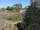 NW_Open_Space_0516-04-thumbnail.jpg