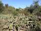 NW_Open_Space_0516-06-thumbnail.jpg