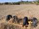 NW_Open_Space_0516-07-thumbnail.jpg